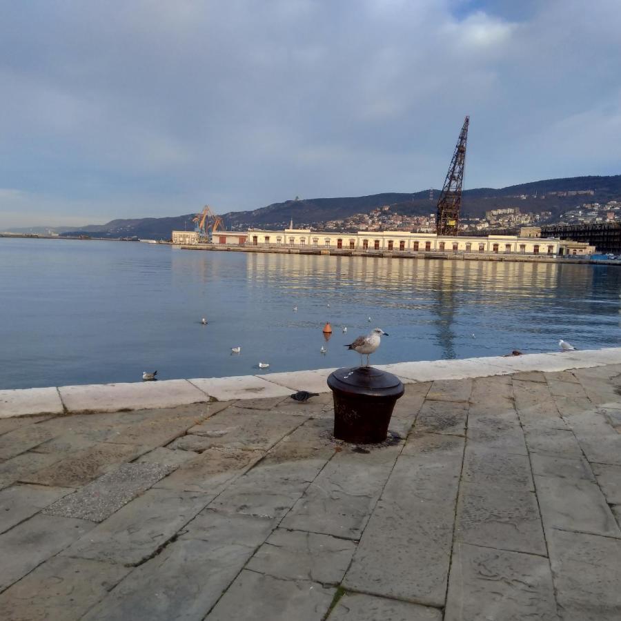 Casa Antica - Historical Apartment In Old City Center Trieste Exterior foto